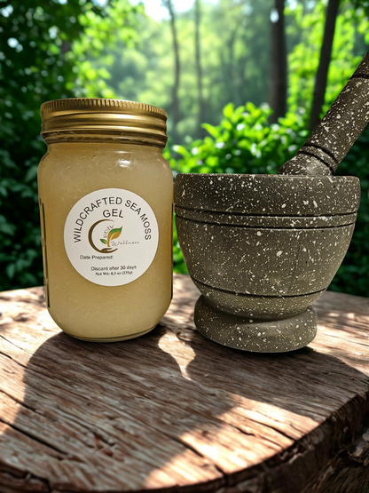 Wildcrafted Sea Moss Gel – Natural Superfood for Daily Wellness